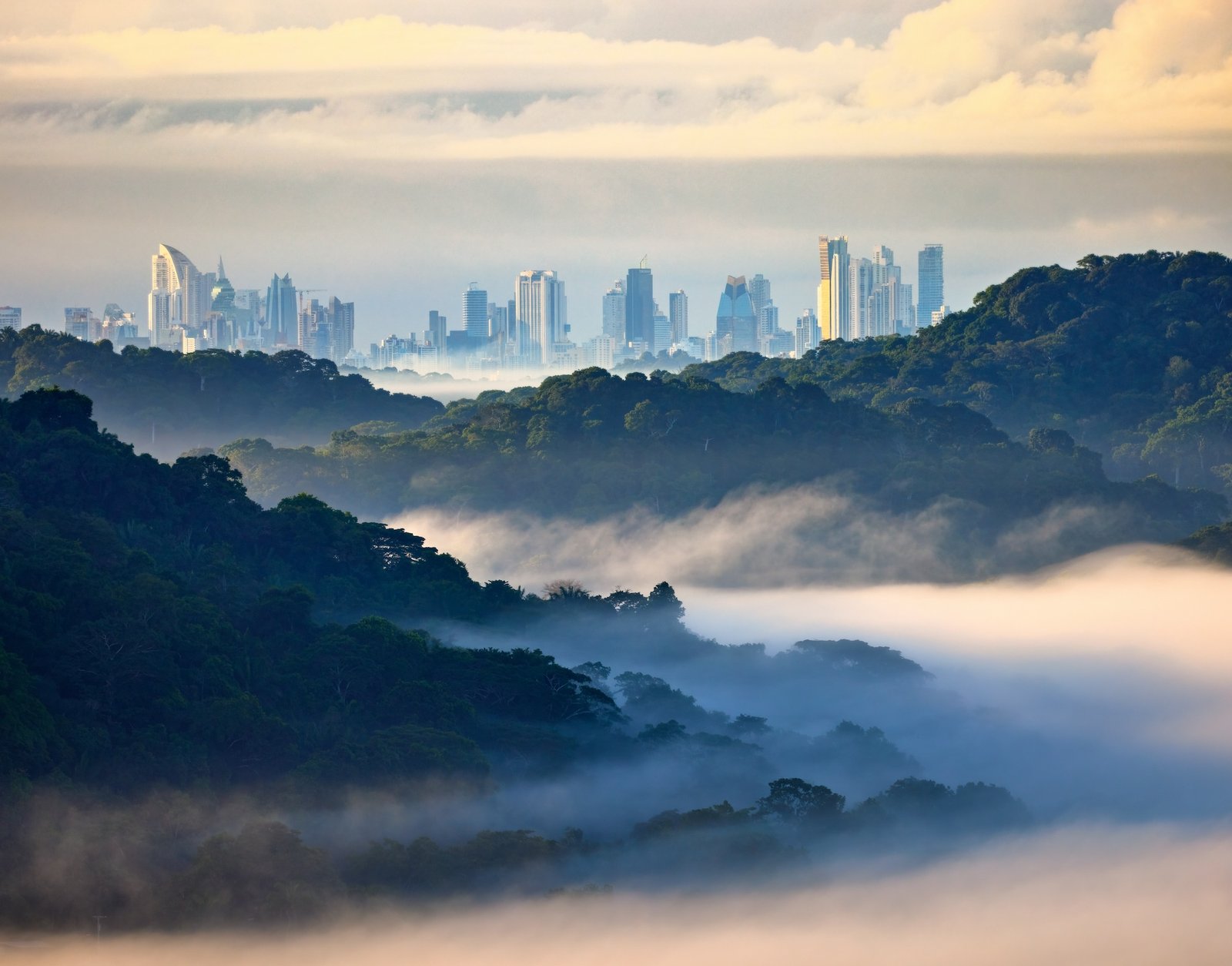 Panama City's modern skyline rising above misty rainforest at dawn