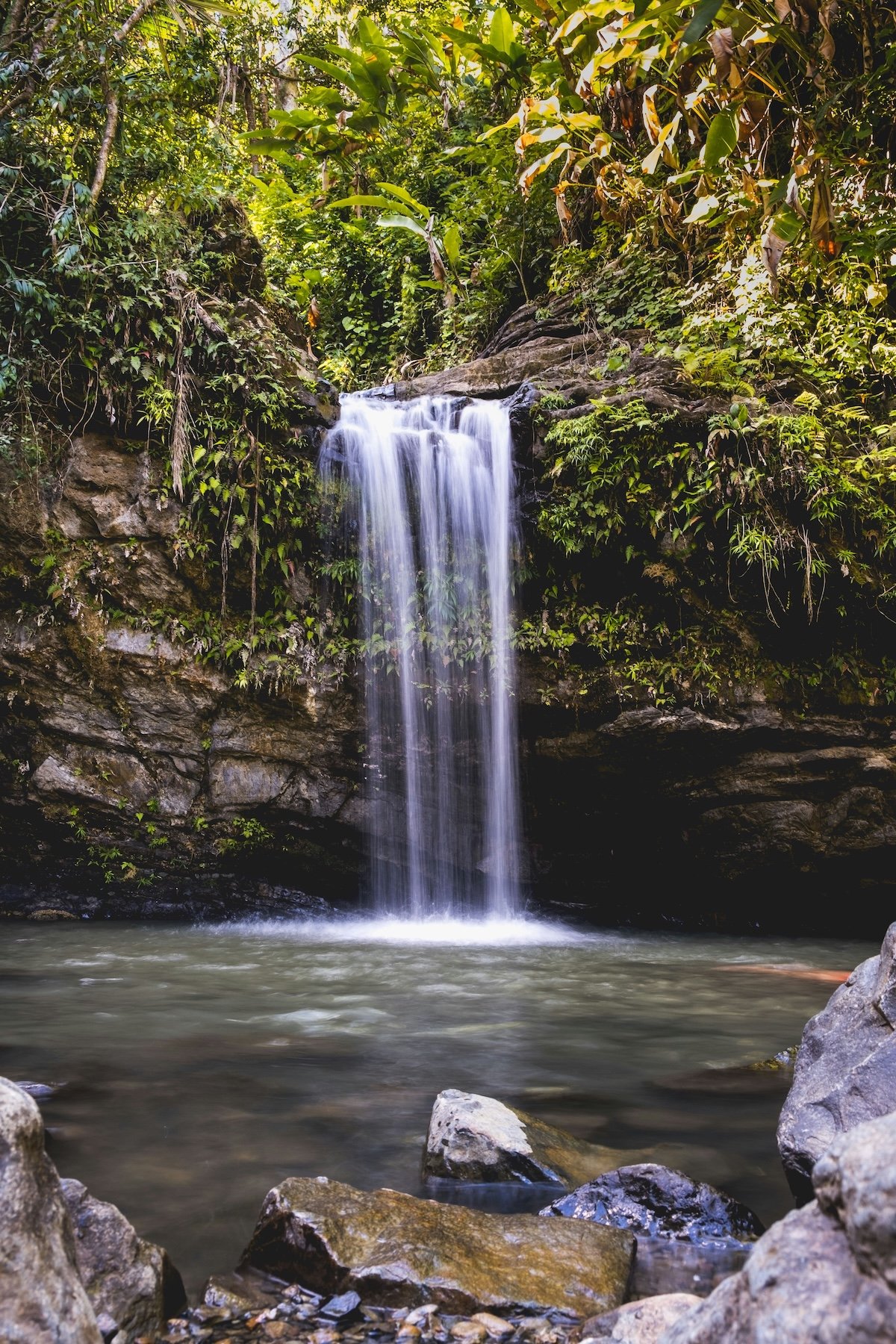 Tropical waterfall cascading into a pool in El Yunque rainforest