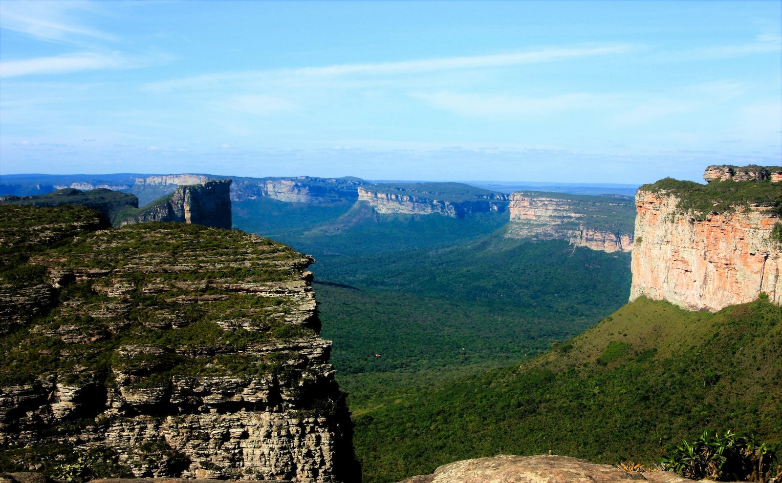 Sweeping canyon panorama in Chapada Diamantina with flat-topped sandstone mesas rising from a green valley